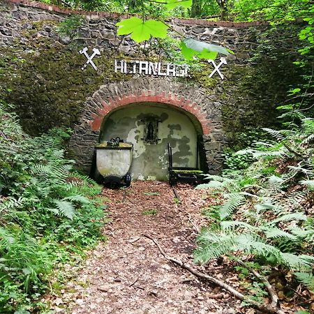 Ferienhaus 30 Am Silbersee Frielendorf Zewnętrze zdjęcie